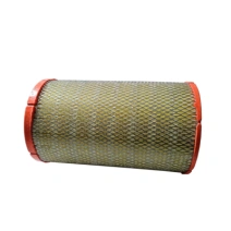 Filtro de ar externo - 6211381 / C27902 