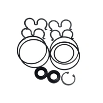 Reparo da Bomba Bosch Dupla