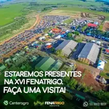 XVI Fenatrigo