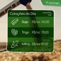 Acompanhe a cotação de grãos do dia.
