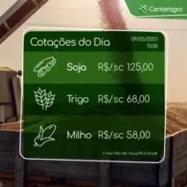 Acompanhe a cotação de grãos do dia