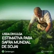 USDA divulga estimativa para a safra mundial de soja