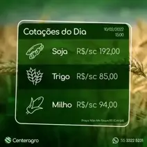 Acompanhe a cotação de grãos do dia.
