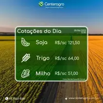 Acompanhe a Cotação de Grãos do Dia