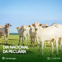 Dia nacional da Pecuária