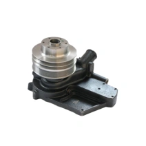 Bomba de Água Sisu com Polia - 88607800 / 89701900