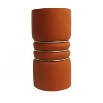 Mangueira - 71408692