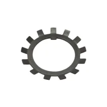 Arruela dentada - 95000532