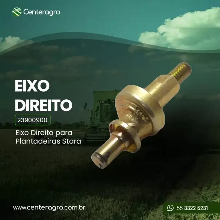 Eixo direito 