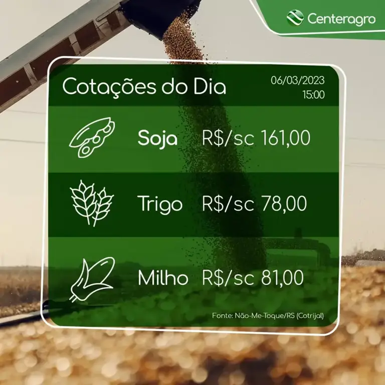 Acompanhe a cotação de grãos do dia.