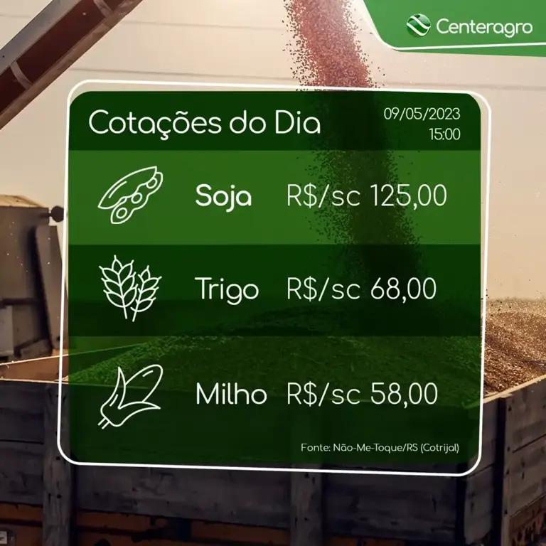 Acompanhe a cotação de grãos do dia