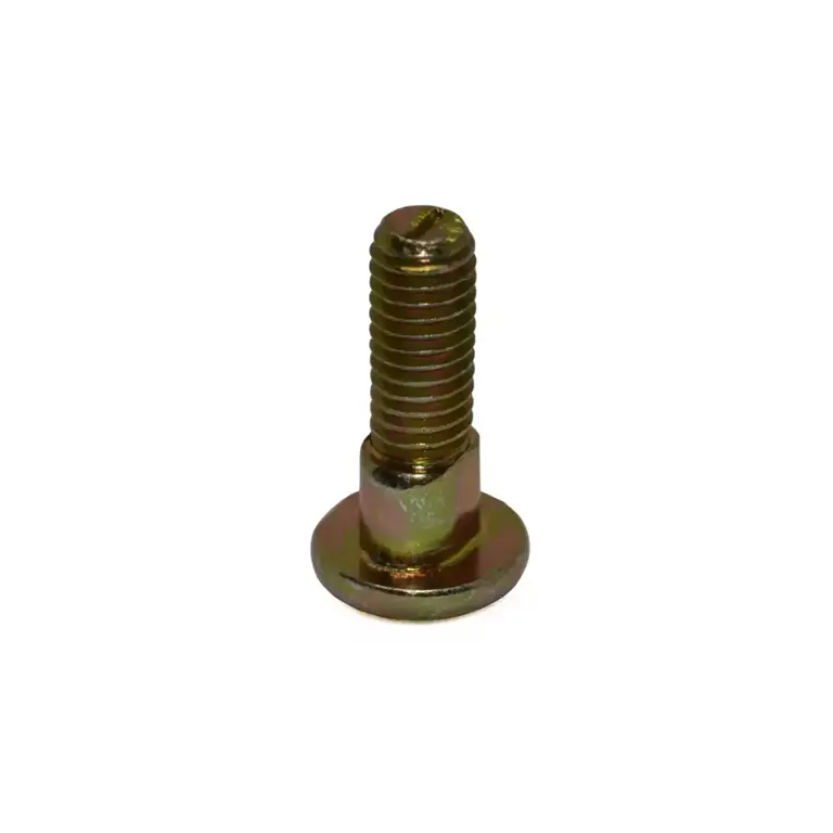 Parafuso Oblongo (6X20mm) - H158342