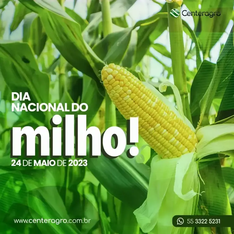 Dia Nacional do Milho