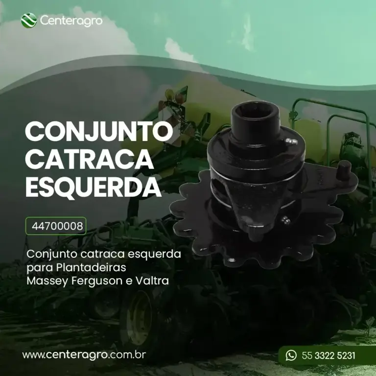 Conjunto catraca esquerda 