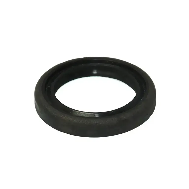 Retentor (25X32X4MM) - 95005022