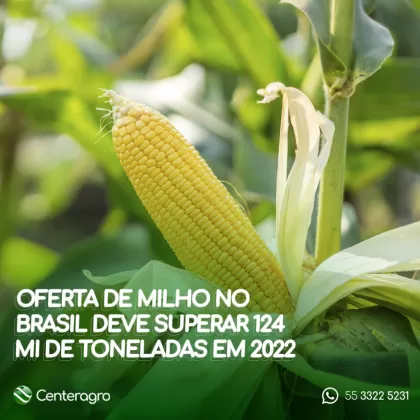 Oferta de milho no Brasil deve superar 124 mi de toneladas e