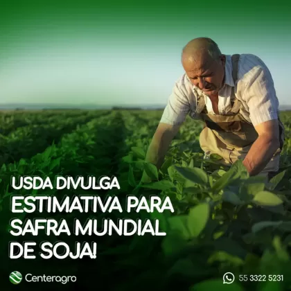 USDA divulga estimativa para a safra mundial de soja